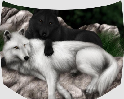 Винилография на капот - Два волка