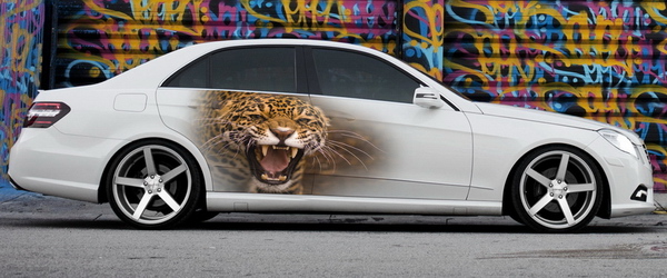 Винилография на светлый авто - Леопард