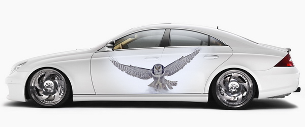 Винилография на светлый авто - Полярная сова
