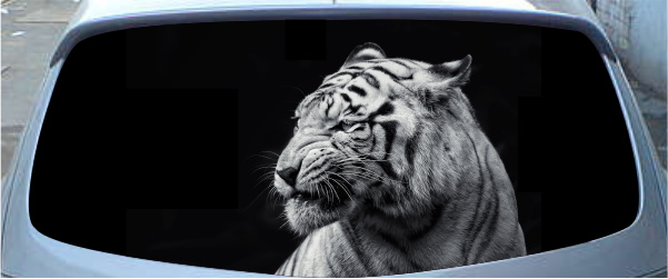 Винилография на заднее стекло - Тигр 2