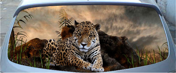 Винилография на заднее стекло - Леопард на камне