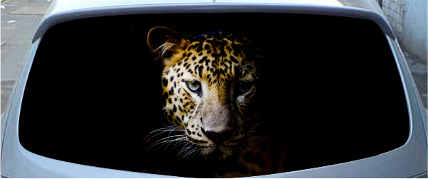 Винилография на заднее стекло - Леопард в тени