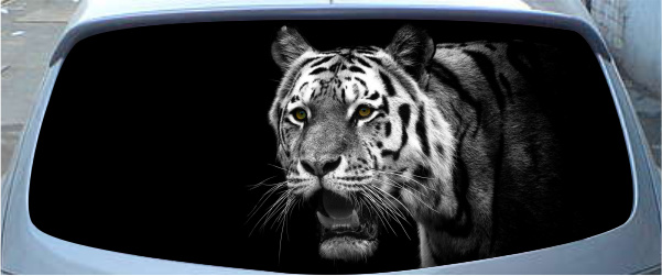 Винилография на заднее стекло - Тигр