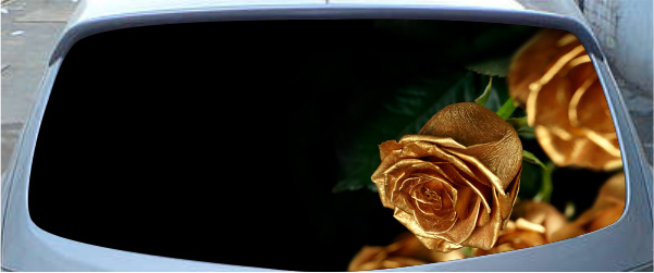 Винилография на заднее стекло - Золотые розы